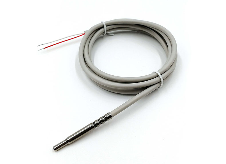 Capteur de température étanche PT1000 RTD (2-Wire)