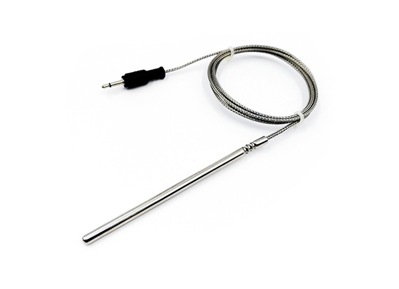 Sonde de température pour viande au barbecue
